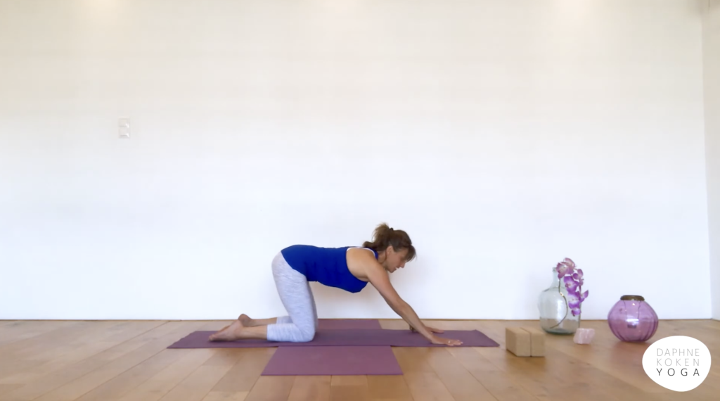 Screenshot uit de video 'Align your Flow: Surya Namaskara A' van Daphne Koken