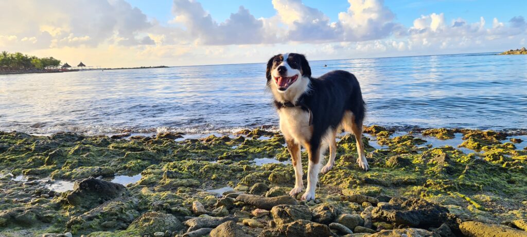 Portretfoto van Jay aan het water
